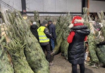 400 choinek za odpady – sukces akcji w Myślenicach!