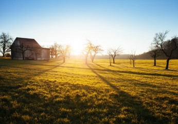 Wsparcie producentów rolnych poszkodowanych wskutek wiosennych przymrozków i gradobicia