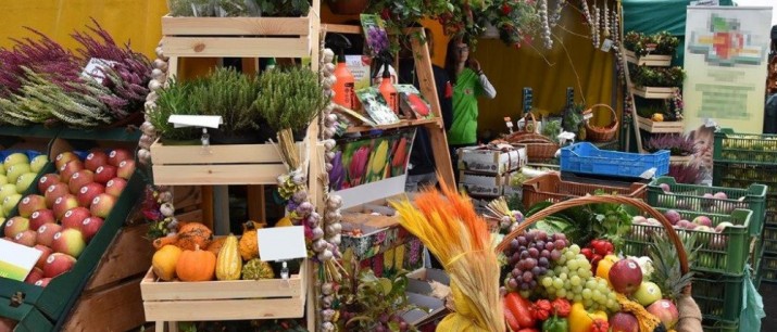 Agropromocja 2022 - powraca największa wystawa rolnicza w Małopolsce