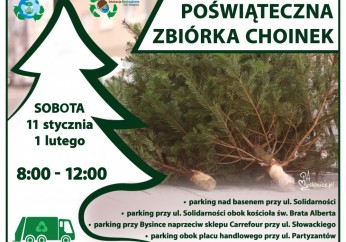 Bezpłatna zbiórka naturalnych choinek - ostatni termin