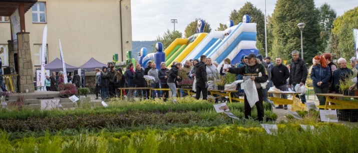 Piknik Ekologiczny: 4 tysiące sadzonek trafiło do mieszkańców Gminy Myślenice
