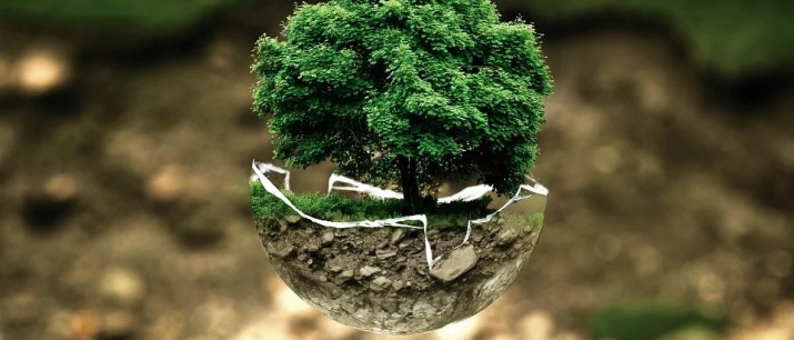 Edukacja ekologiczna i działania proekologiczne w Gminie Myślenice - rozstrzygnięcie konkursu