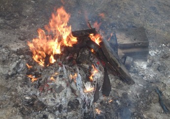 Jesienne porządki – Straż Miejska przypomina o zakazie spalania pozostałości roślinnych w ogrodach 