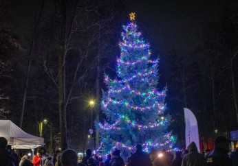 Magia Świąt na Zarabiu – choinka rozświetlona!