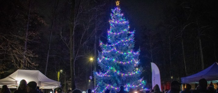 Magia Świąt na Zarabiu – choinka rozświetlona!