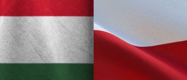 Życzenia dla Węgrów z Csopaku z okazji święta niepodległości